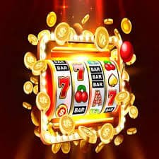 winner55