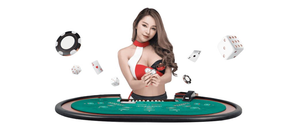 winner55