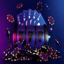 winner55